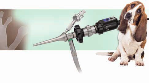 Otoscopy in Fountain Valley Otoscopy in Fountain Valley